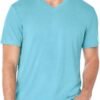Mens Venice Burnout V Neck Tee